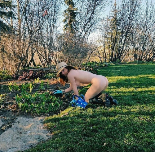 garden1C.jpg