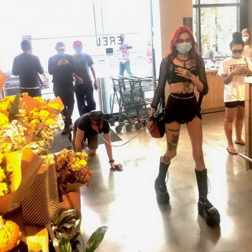 dog-store.jpg
