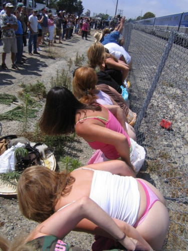 assline.jpg