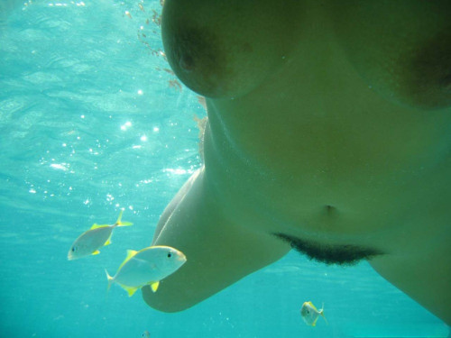fishy.jpg