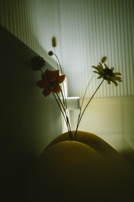my-new-vase.jpg