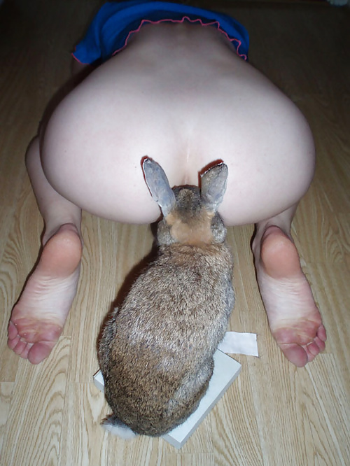 rabbit.jpg