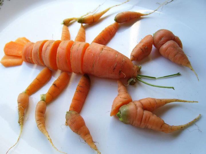 homard de crise.jpg