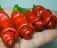 Piment-penis_ethnoplants.JPG