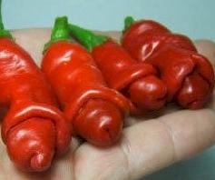 Piment-penis_ethnoplants.JPG