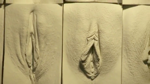 Wall of Vagina.jpg